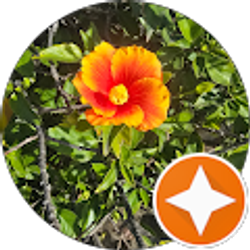 Profile photo of Amanda Patterson