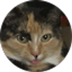Profile photo of Cloetheemo