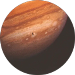 Profile photo of Gavin Shepherd