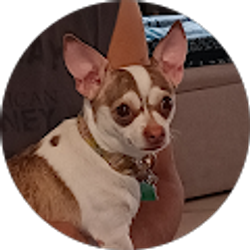 Profile photo of Dora Lopez