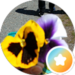 Profile photo of TERESA CHACON