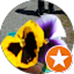 Profile photo of TERESA CHACON