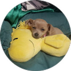 Profile photo of Danielle Edmondson