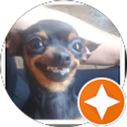 Profile photo of L F