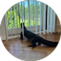 Profile photo of Samara