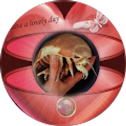 Profile photo of grace lay