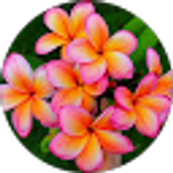 Profile photo of Kiana Dinsmore
