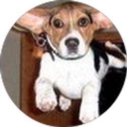 Profile photo of Kathryn Bashi