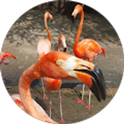 Profile photo of Ivy Mtz