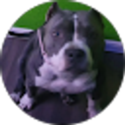 Profile photo of Rick Rodriguez