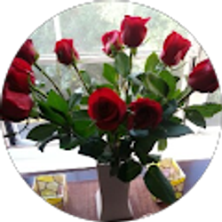 Profile photo of Syma Pérez Merlo