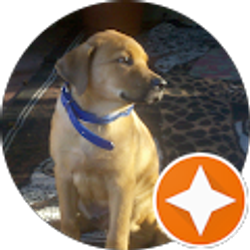 Profile photo of Katrina Porter