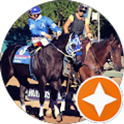 Profile photo of Roy Sanchez