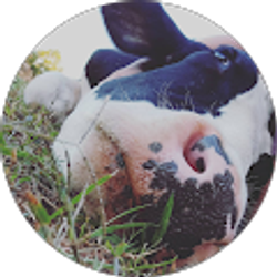 Profile photo of Heather Harrison