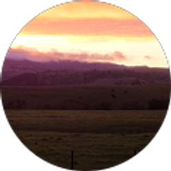 Profile photo of Hannah Evans