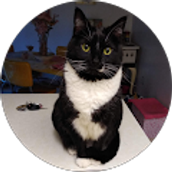 Profile photo of Lisa Campbell