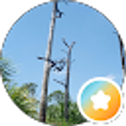 Profile photo of R0b A