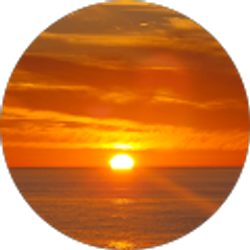 Profile photo of Susana Ameli