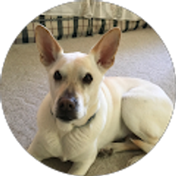 Profile photo of Candis Rivera