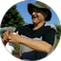 Profile photo of Ivis Rosado