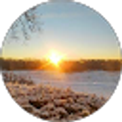 Profile photo of Nis F