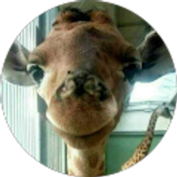 Profile photo of Leo Camacho