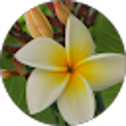 Profile photo of R. Schlagheck