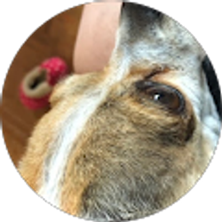 Profile photo of Laura Mondragon