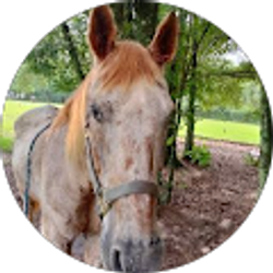 Profile photo of Catherine Tew