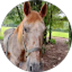 Profile photo of Catherine Tew