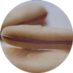 Profile photo of erwin pader