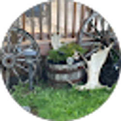 Profile photo of Martha Goodrich