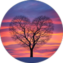 Profile photo of Dawn McKnight