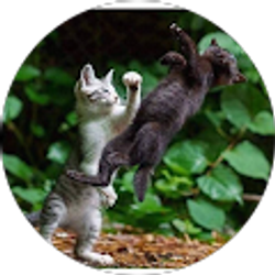 Profile photo of Wendy Smith