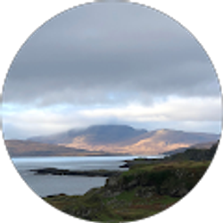 Profile photo of Scottish Raven