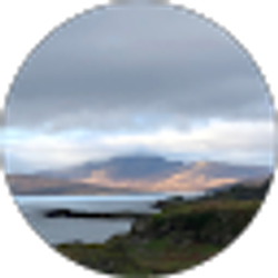 Profile photo of Scottish Raven