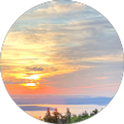 Profile photo of Ibrahim Ilyas