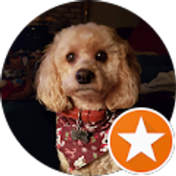 Profile photo of Cheryl Arndt