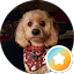 Profile photo of Cheryl Arndt