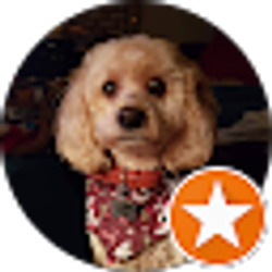 Profile photo of Cheryl Arndt