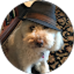 Profile photo of Nicholas Salzman