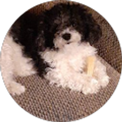 Profile photo of Cindy Rusch