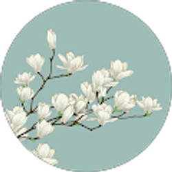 Profile photo of Lissette Matos