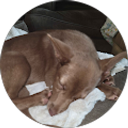 Profile photo of Shelly Motyka