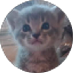 Profile photo of Tina