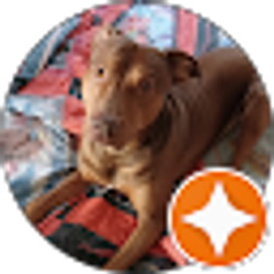 Profile photo of MidMoPit Flowers