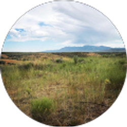 Profile photo of Lyndsey McGuire