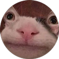 Profile photo of lonzo