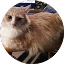 Profile photo of Debra Miller