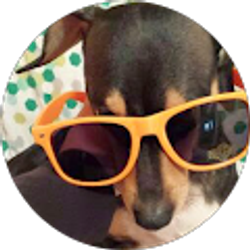 Profile photo of Jennifer Truong